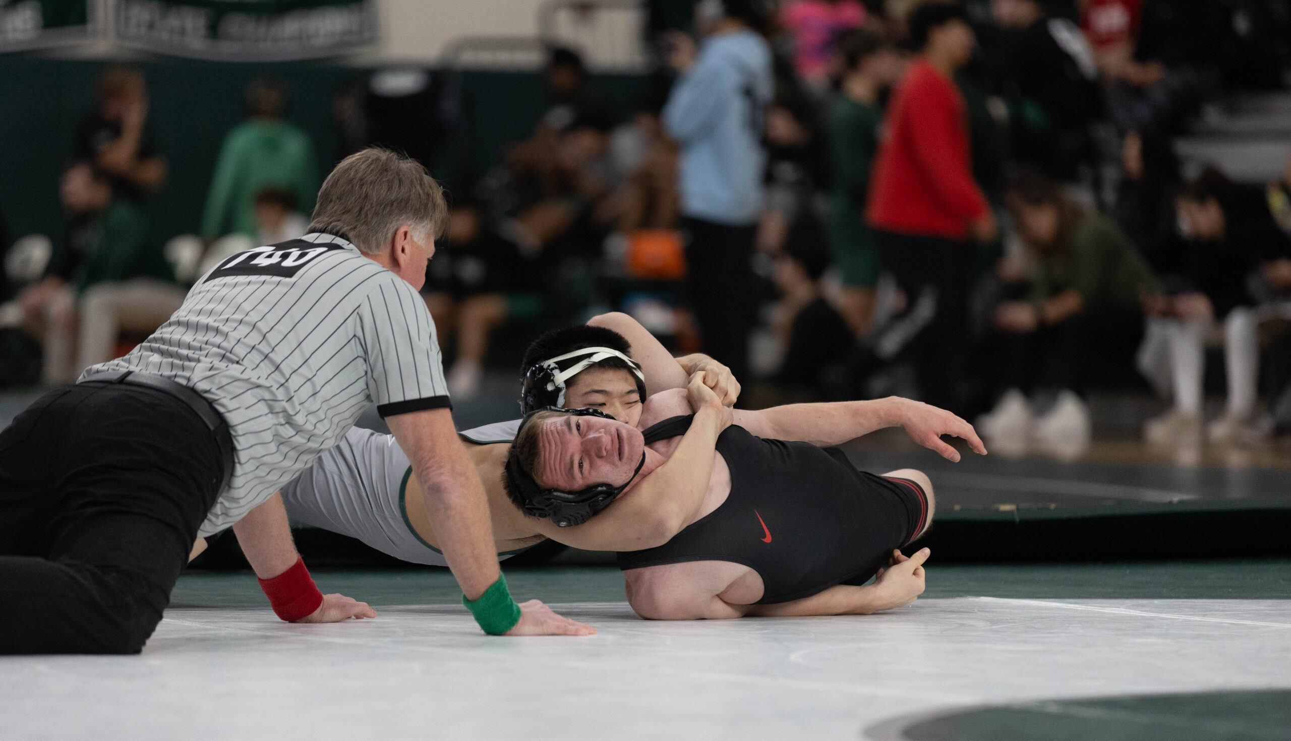 Wrestling