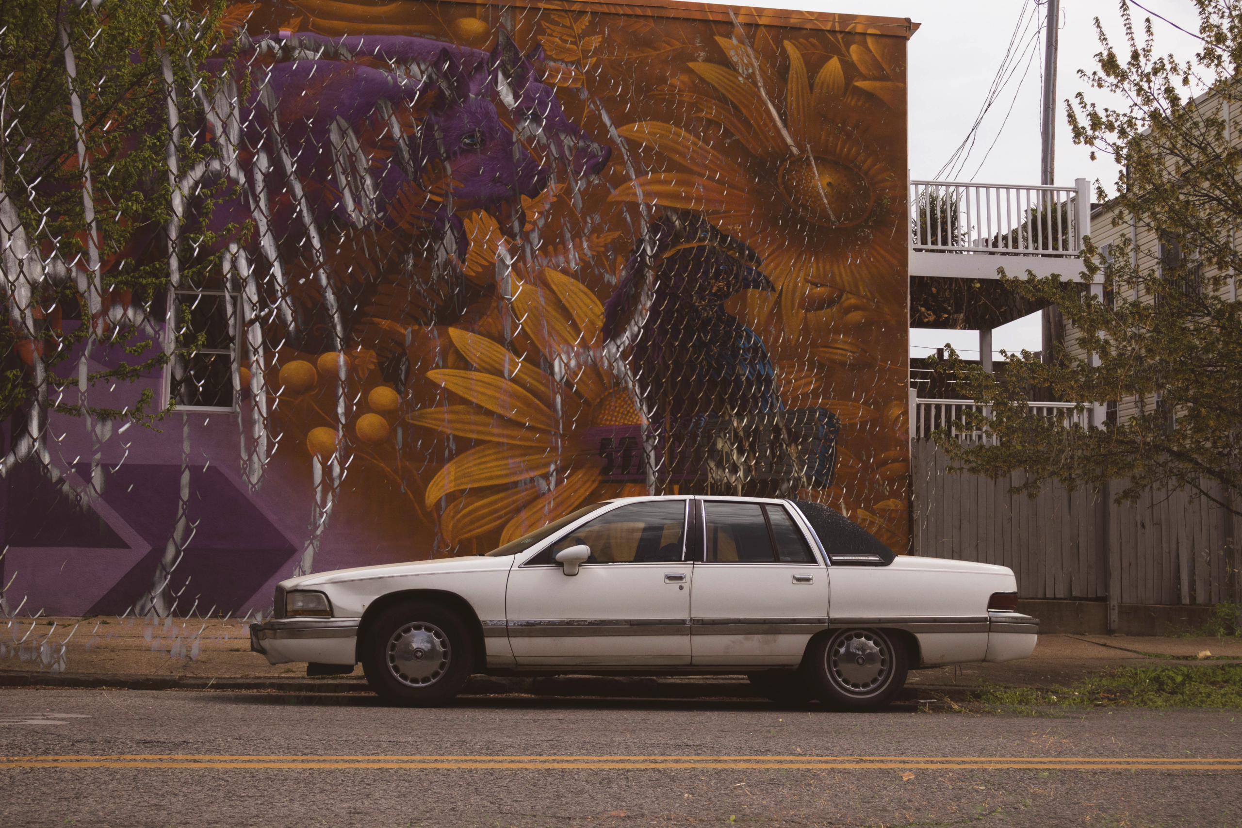 Art of the Street